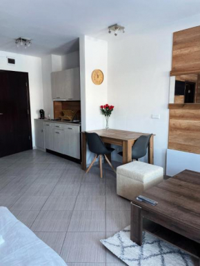 B8 Luxury Studio Apartment in Bansko